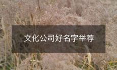 推荐一些好的文化公司名字,让你的品牌更具有辨识度和吸引力
