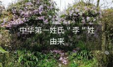 探寻中华文化中第一姓氏“李”的起源与演变过程