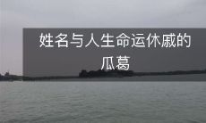人的姓名与他们人生命运的密切关系:一个探究命运与名字之间相互影响的研究