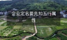 在企业起名之前,必须充分了解五行属性的影响:一个长远的视野