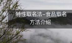详细解析:如何使用特性取名法来取食品的名字