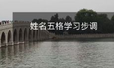 如何掌握姓名五格学习法:有效提升学习效率的步骤和技巧