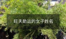 姓名是旺夫助运的女性:寻找能够给予情感幸福和加持好运的名字