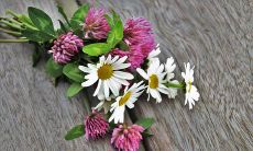 探寻三两八钱女子的命运走向,需要留意哪些方面?