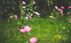 详细分析五两七钱女命的人生运势:荣耀富贵百年不衰