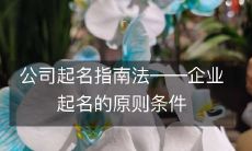 如何命名您的企业?企业起名的原则条件及指南法