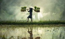 探讨女性命运和财富之间的关系:七两女性拥有深厚的福报与财富