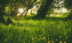 女命三两八钱的婚姻状况探析:身处福气之中的人是否更加幸福?