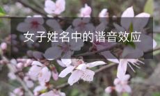 在女性姓名中发现谐音效应的探究:一种有趣且引人入胜的现象