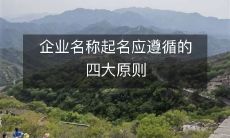 企业起名的四大原则,必须认真遵循