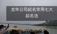 探秘龙年公司常用的七大起名法