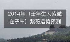 2014年度紫薇出生时节在子午的人的运势预测