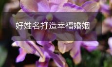 如何通过取一个好姓名来打造幸福美满的婚姻