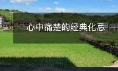 经典化忌:那些让人心中痛楚且应避免的行为和心态