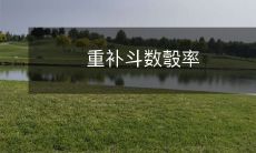 掌握重要的补斗数彀技巧和策略,提高成功率与效率