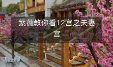 紫薇盘详解:如何看12宫中的夫妻宫,让你的婚姻生活更加美满幸福!