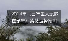 2014年出生的人(己年生人紫微在子午)的紫薇运势预测