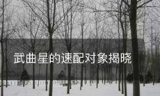 揭晓武曲星最佳速配对象,让你的爱情之路更顺畅!