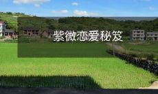 「揭秘紫微恋爱秘笈:探究玄妙星座学,助你获得爱情幸福」