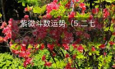 紫微斗数五七运势,揭示你的财富、事业、健康、感情、家庭运势!