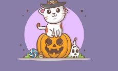 哪些风水吉祥物适合用于宅邸镇宅之用?