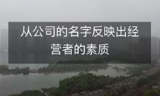 通过公司名称反映经营者素质:如何从公司名字中洞察经营者的能力和价值观