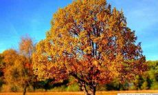 - 如何在装修和布置服装店时遵循良好的风水原则?