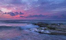 在主卧室摆放胡桃木和貔貅是一个好主意吗?