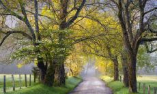 探讨佩戴红绳的讲究及需谨慎遵循的禁忌事项