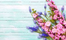 八条提升事业发展的“加薪风水秘籍”,让你事业红红火火,财源广进