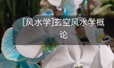 深入剖析玄空风水学:宇宙能量与人居环境的完美融合