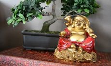 哪些方位的人在2023年兔年将会享有大利好运?