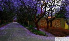 卧室风水的布局和摆设如何能够有效提高个人财富和恋爱运势?