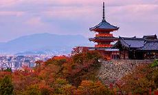 让你担忧的是哪个星座的自理能力较弱?一探十二星座中的自理能力差异