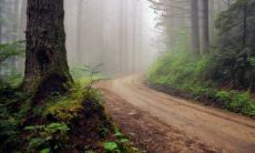 哪个星座女性具有最有趣的个性,从而成为最受欢迎的呢?