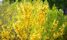 2022年哪个星座的婚姻会面临瓦解的风险?