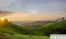 2022年1月天蝎座全面运势预测:从爱情事业到财富运势一网打尽