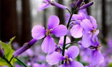 揭秘哪些星座默默努力成为超凡人物,拒绝平庸生活