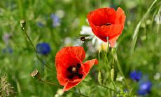 这些星座认为爱情胜过金钱,因为在他们眼中情感是最珍贵的财富