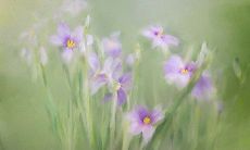 哪个星座总是陷于忧虑和烦恼之中?一起来探讨十二星座中最担心的星座是谁