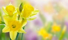 哪个星座在选择分手时感到最内疚?——探究十二星座中的自责倾向