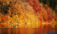 在十二星座中,哪个星座会先吃苦后享乐?