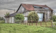 哪些类型的男孩更容易让周围的女孩为之倾心?