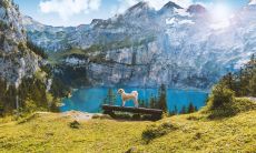 四种不同血型的人的专一程度以及可能发生的变心征兆分析