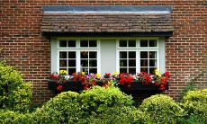 哪些星座在职场中表现最为顽固?探究十二星座中排名前四的星座!