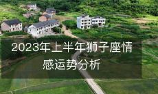 对于2023年上半年,狮子座的情感运势,我们的深入分析与预测