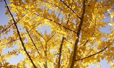 哪些星座在2022年购房上有更多的机遇和优势?