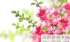 2022年喜气洋洋、好运连连的三个星座,福星照耀,把幸福带回家!