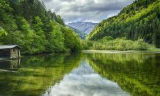 哪些四个星座想要与人亲近,结果却遭受损失?