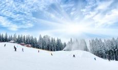 由于其独立与特质备受欣赏,备受大众青睐的四个星座